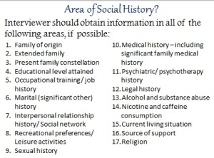 areas of social history